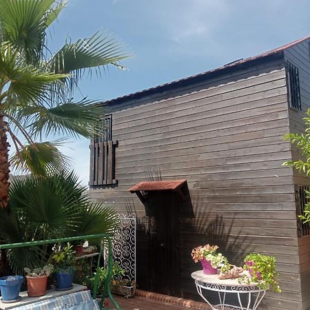 La Cabana Nevada Cenes De La Vega Dış mekan fotoğraf